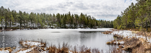 Fototapeta Naklejka Na Ścianę i Meble -  frozen lake in the nature reserve hökensas near tidaholm in sweden