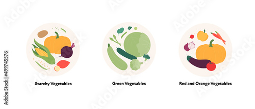 Food illustration collection. Vector flat design of various starchy, green, orange and red vegetables symbol in circle frame isolated on white background.