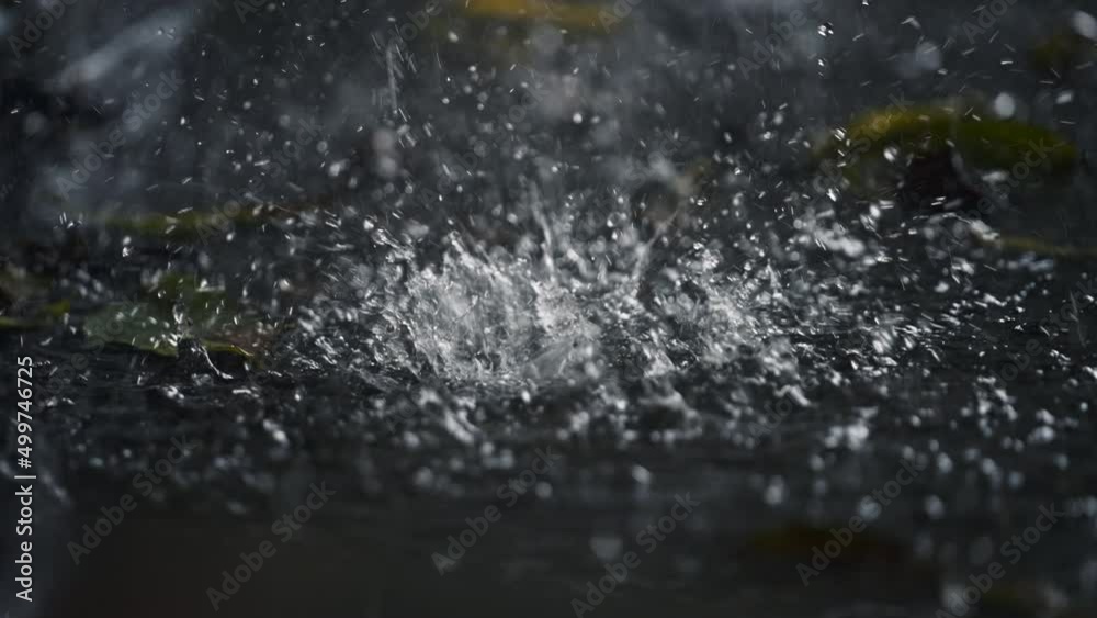 Tropical heavy monsoon rain falling on the dark forest ground in slow motion