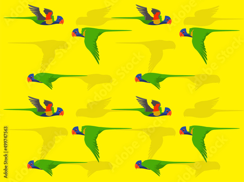 Rainbow Lorikeet Animation Seamless Wallpaper Background 