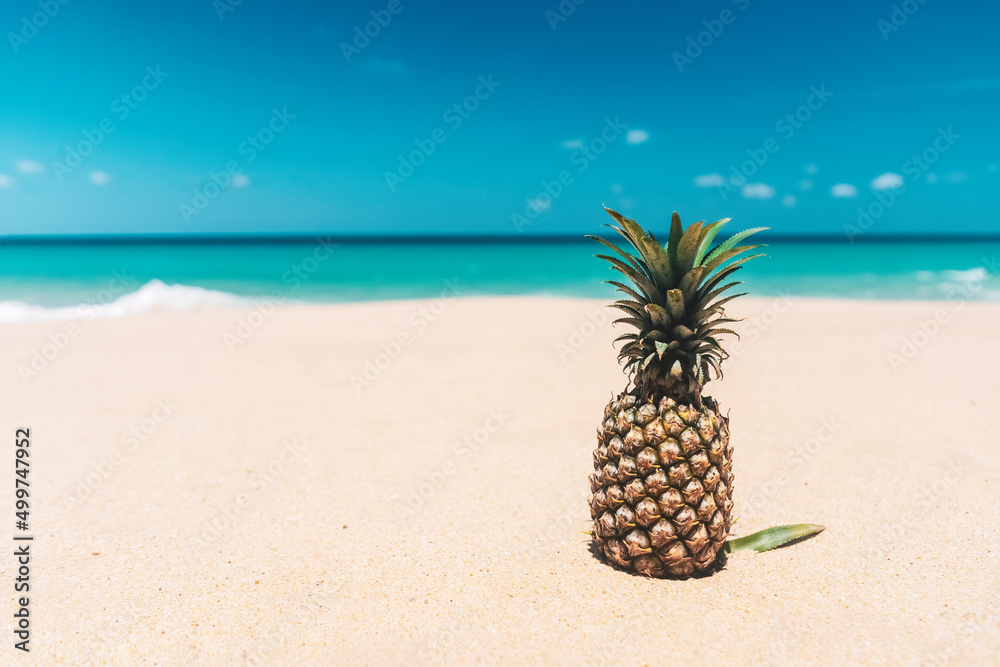 Pineapple on tropical beach background. Summer vacation and healthy food concept. Pineapple on tropical beach background. Summer vacation and healthy food concept.