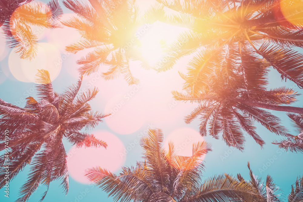 Copy space of silhouette tropical palm tree on sunset sky with bokeh light leak abstract background. Summer vacation and nature travel adventure concept. Copy space of silhouette tropical palm tree on sunset sky with bokeh light leak abstract background. Summer vacation and nature travel adventure concept.