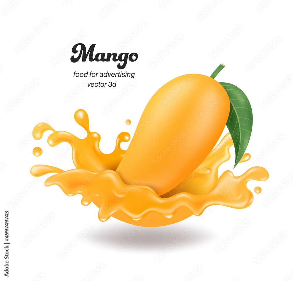 Mango fall into impact with mango juice causing a wide splash of water,vector 3d isolated on