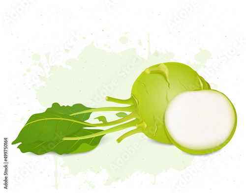 Kohlrabi with half piece of kohlrabi vector illustration 