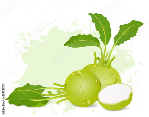 Set of two Kohlrabi Root vegetable vector illustrations with half pieces of kohlrabi green leaves