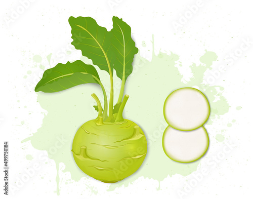 Kohlrabi Root Vegetable vector illustration with kohlrabi green leaves and slices from the top angle