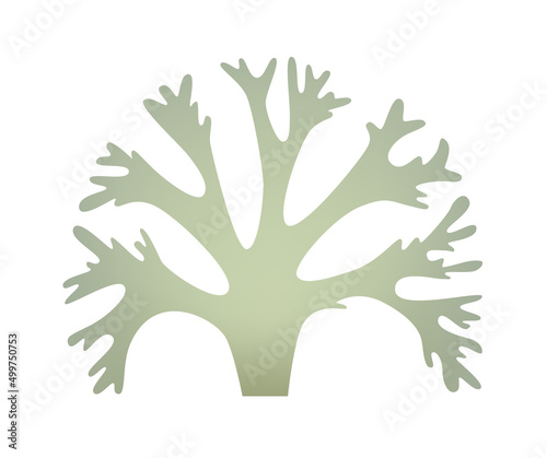Cetraria green Icelandic moss icon for logo or icon