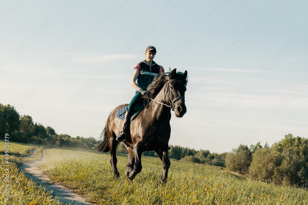 Young rider galloping on horse on country road. Young rider galloping on horse on country road.