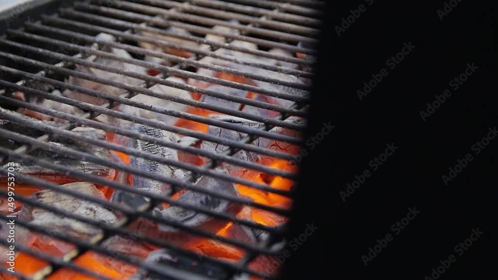 Flaming Charcoal in the Brazier
Flaming Charcoal in the Brazier