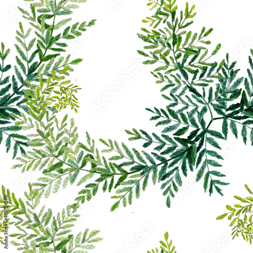 Intertwining green twigs on a white background. Seamless pattern drawn with pencils.