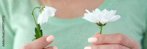 Obraz na plátně Woman is holding one blooming chamomile and one wilting