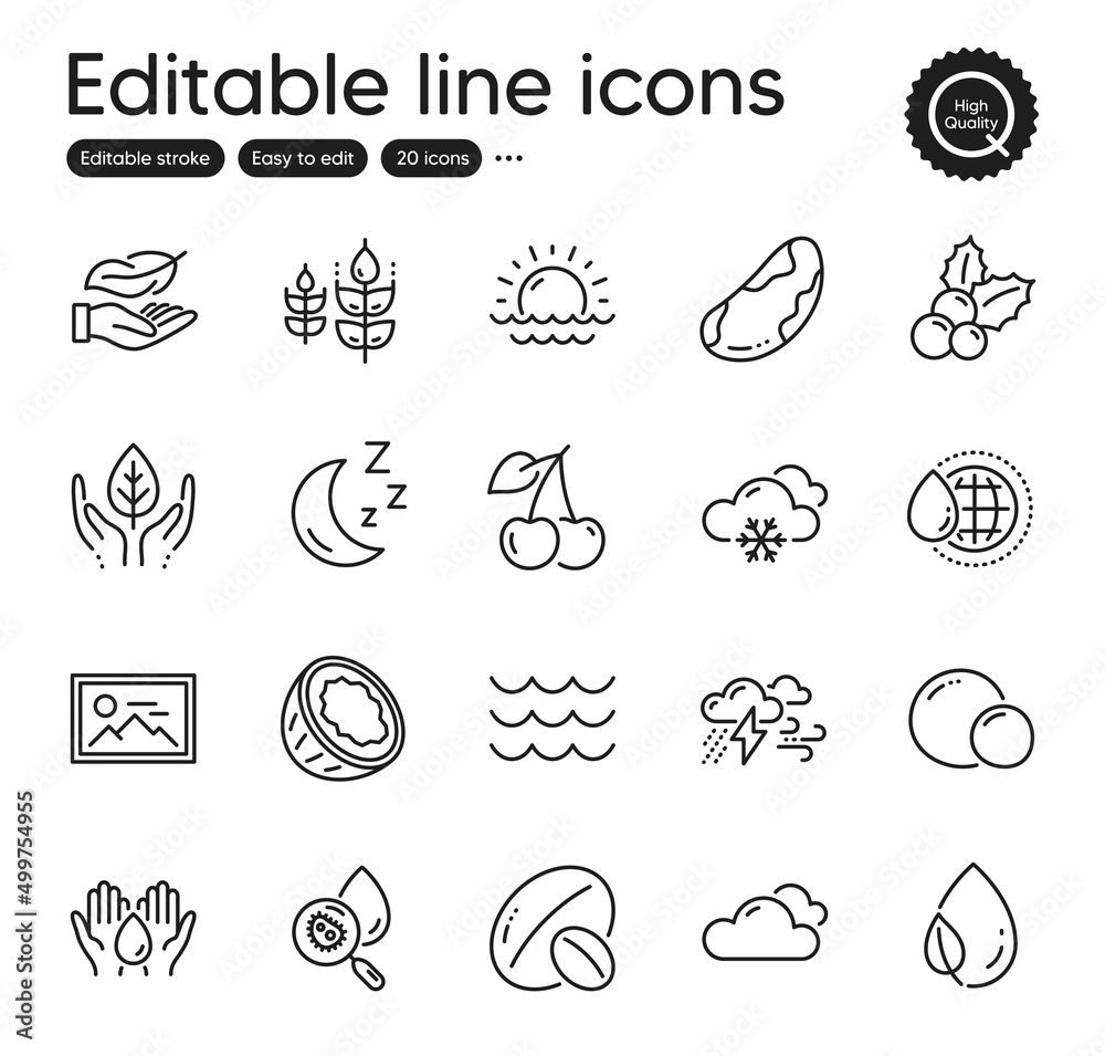 Set of Nature outline icons. Contains icons as Bad weather, Snow weather and Waves elements. Fair trade, World water, Photo web signs. Cherry, Water analysis, Moon elements. Brazil nut. Vector Set of Nature outline icons. Contains icons as Bad weather, Snow weather and Waves elements. Fair trade, World water, Photo web signs. Cherry, Water analysis, Moon elements. Brazil nut. Vector