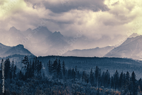 Fototapeta Naklejka Na Ścianę i Meble -  Mountain peaks in clouds and fog. Tatra Mountains, Poland.