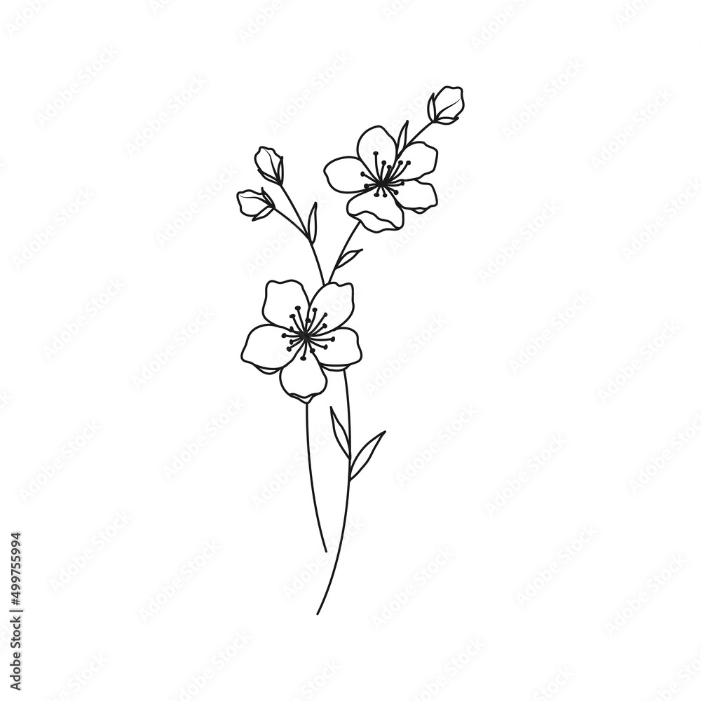 Cherry Blossom March Birth Month Flower Illustration Stock Vector