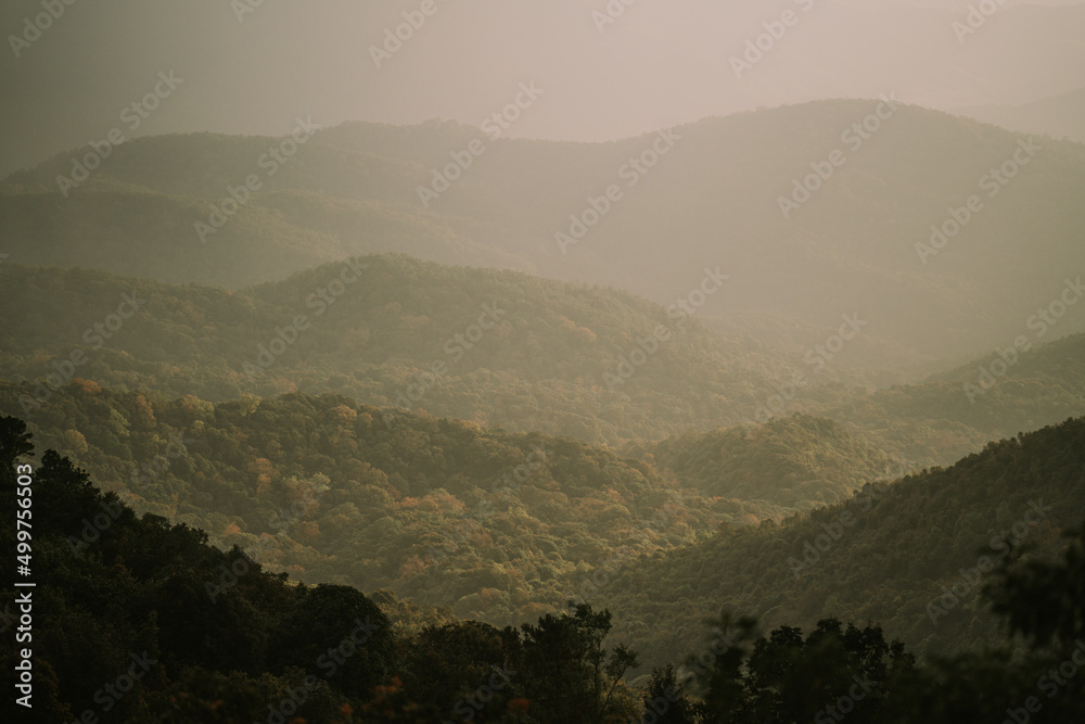 Fototapeta premium Dawn at Doi Inthanon National Park Thailand