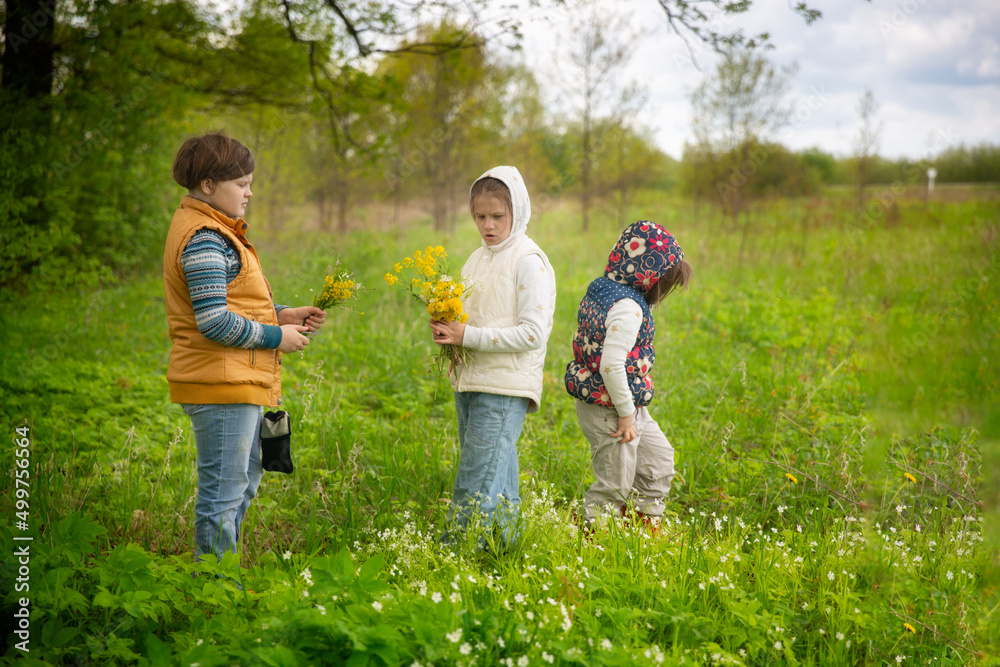 Cute children look at plants in a meadow in the forest, botanical excursion and young researchers, children's walks and curiosity, interest in nature - obrazy, fototapety, plakaty 