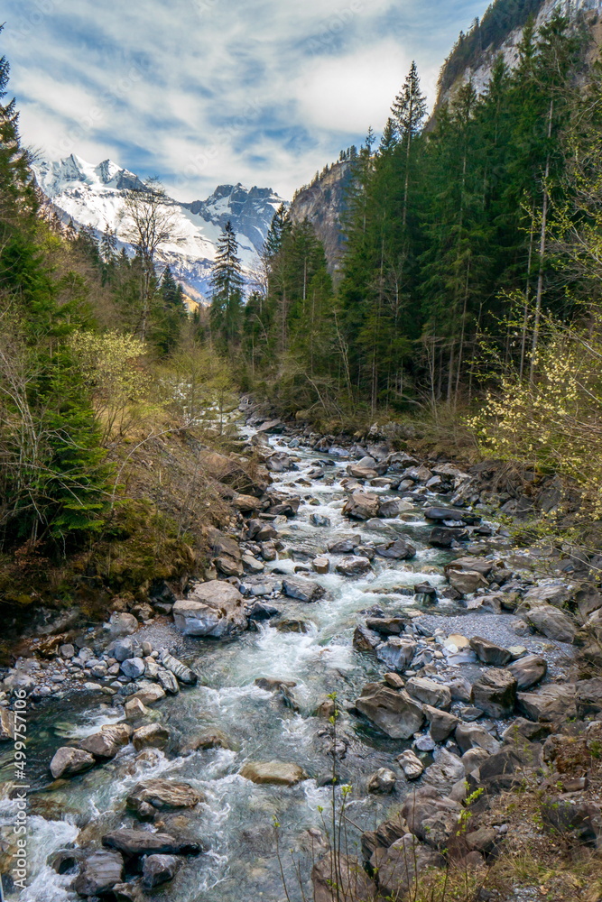Swiss Alps mountain scene. River rushing down over large boulders and rocks, snowy mountain peak in the distance, no people Swiss Alps mountain scene. River rushing down over large boulders and rocks, snowy mountain peak in the distance, no people