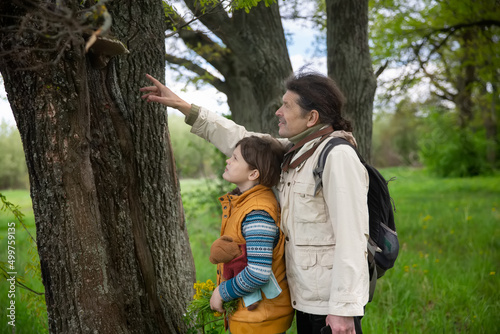 teacher and child are looking at bark of tree, tinder fungus on tree. Children explore and study nature, world around them. Children's curiosity, interest in nature © natalialeb