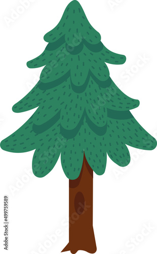 Spruce forest tree