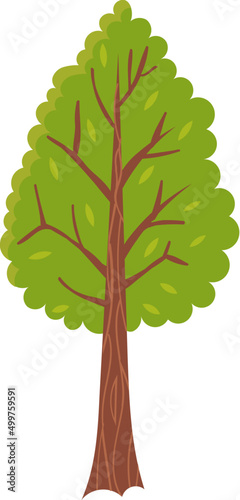 Deciduous green tree