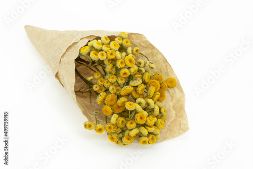 Dried herbs and flowers isolated on white background. Bundles of medicinal herbs for tea. Yellow flowers. Alternative medicine.