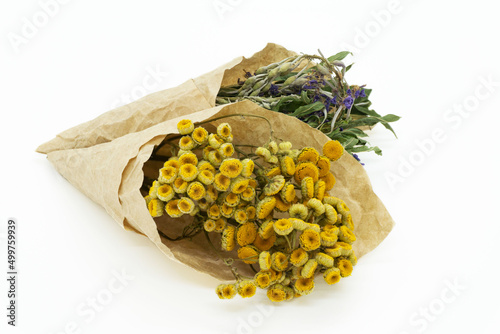 Dried herbs and flowers isolated on white background. Bundles of medicinal herbs for tea. Yellow and green dried flowers. Alternative medicine.