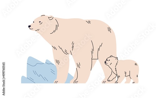 White polar bears family in wild nature. Arctic Northern animals, mother and baby cub in cold winter among ice, snow. North Pole wildlife. Isolated flat vector illustration