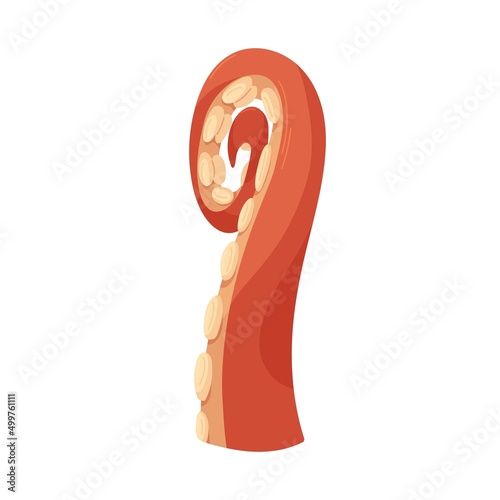 Octopus tentacle, twisted limb with suckers. Sea monsters arm. Underwater cut...