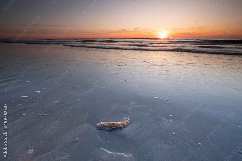 Long exposure, of the sea with orange sunset, Shells in the sand. Abstract view, background, card, greeting card, mourning card