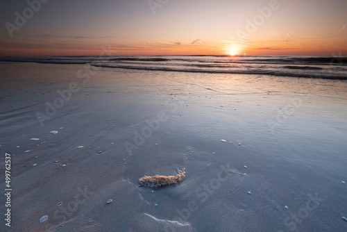 Obraz na płótnie Long exposure, of the sea with orange sunset, Shells in the sand. Abstract view, background, card, greeting card, mourning card w salonie