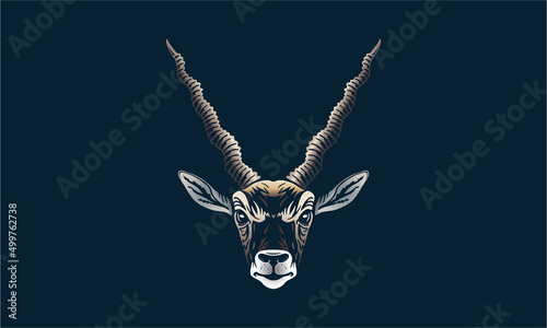 Blackbuck on dark background, vector, illustration logo, sign, emblem. photo