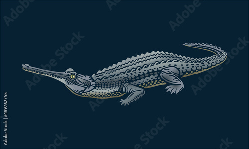 Gharial on dark background  vector  illustration logo  sign  emblem.