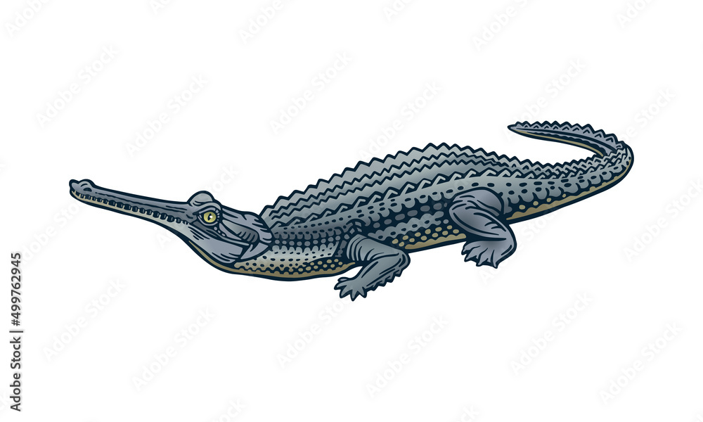 Fototapeta premium Gharial on light background, vector, illustration logo, sign, emblem.