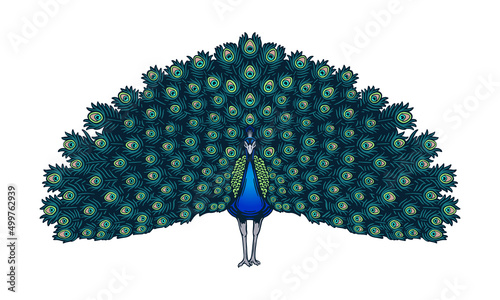 Blue peafowl on light background, vector, illustration logo, sign, emblem.