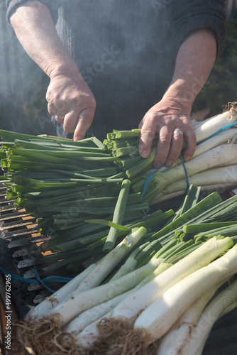 A man cooking calçots, a young Catalan onion. Preparing a 