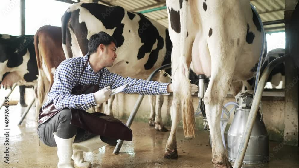 Vídeo do Stock: Agriculture Men wear striped shirts and boots Taking ...