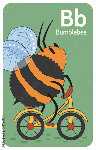 Bumblebee B letter. A-Z Alphabet collection with cute cartoon animals in 2D. Bumblebee riding a yellow bicycle and looking at camera offended. Hand-drawn funny simple style.