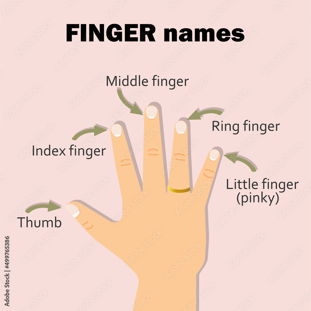 Know Yourself Test Your Finger Length Reveals Your True Personality Traits