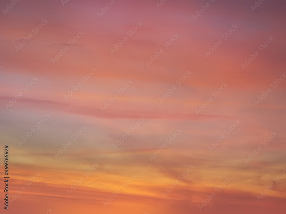 pink sunset at sea  water reflection sun light on  gold yellow  clouds sky  nature background