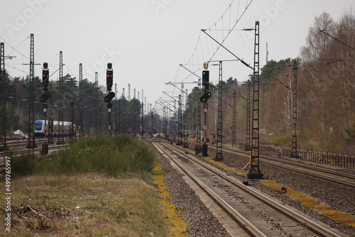 rail track with trains between the woods
