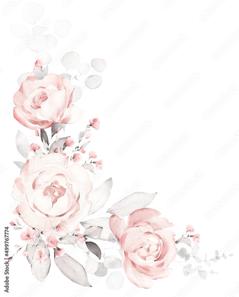 Set watercolor pink  flowers, garden roses, peonies. collection leaves, branches. Botanic illustration isolated on white background.