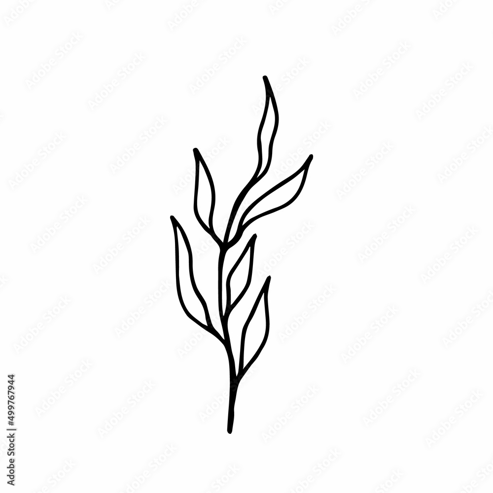 Hand drawn twig with eucalyptus tree leaves on a white background isolated. Hand drawn twig with eucalyptus tree leaves on a white background isolated.