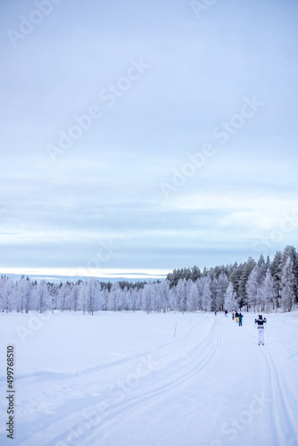 Ski route in Finnish lapland