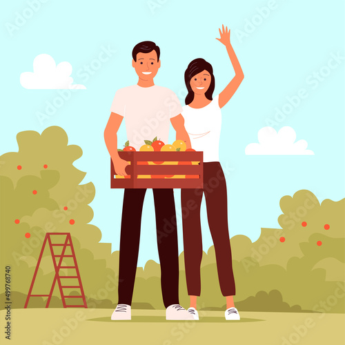 A young man and woman stands with a box of fresh apples. Work in the apple orchard. Seasonal harvest. Ripe healthy fruits. Flat vector illustration