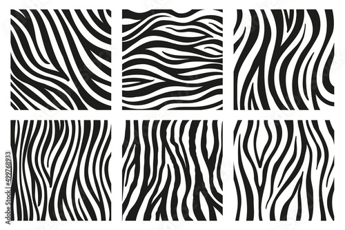 Fototapeta Black stripes on the skin of a zebra for decoration graphics