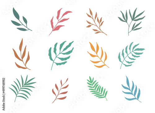 Fototapeta hand painted leaves for decoration in minimalist style