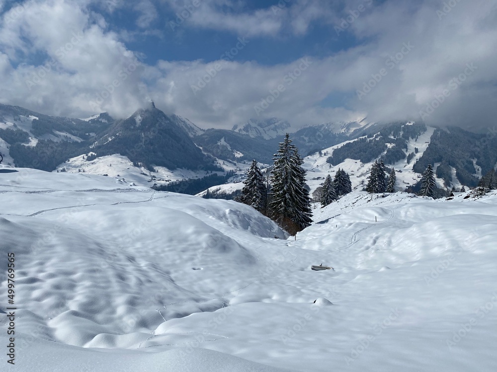 A natural fairy tale with an unrealistically beautiful snowy winter landscape of hills and alpine pastures of the Alpstein massif in the Obertoggenburg region - Nesslau, Switzerland (Schweiz)