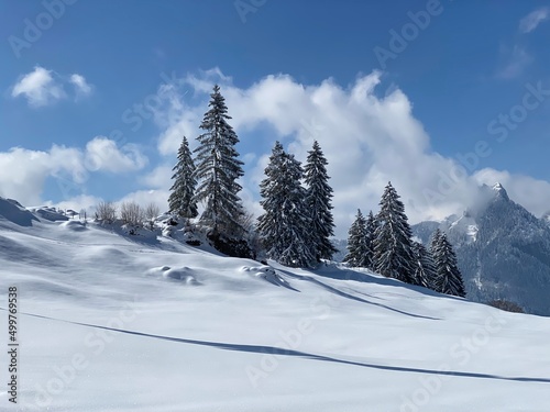 A natural fairy tale with an unrealistically beautiful snowy winter landscape of hills and alpine pastures of the Alpstein massif in the Obertoggenburg region - Nesslau, Switzerland (Schweiz) © Mario