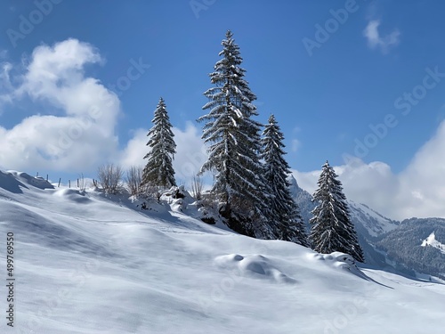 A natural fairy tale with an unrealistically beautiful snowy winter landscape of hills and alpine pastures of the Alpstein massif in the Obertoggenburg region - Nesslau, Switzerland (Schweiz) © Mario