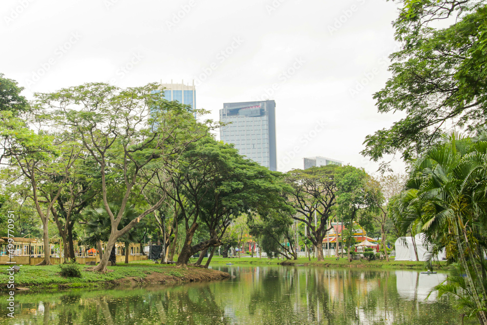 Bright green trees in Lumpini Park, a public park